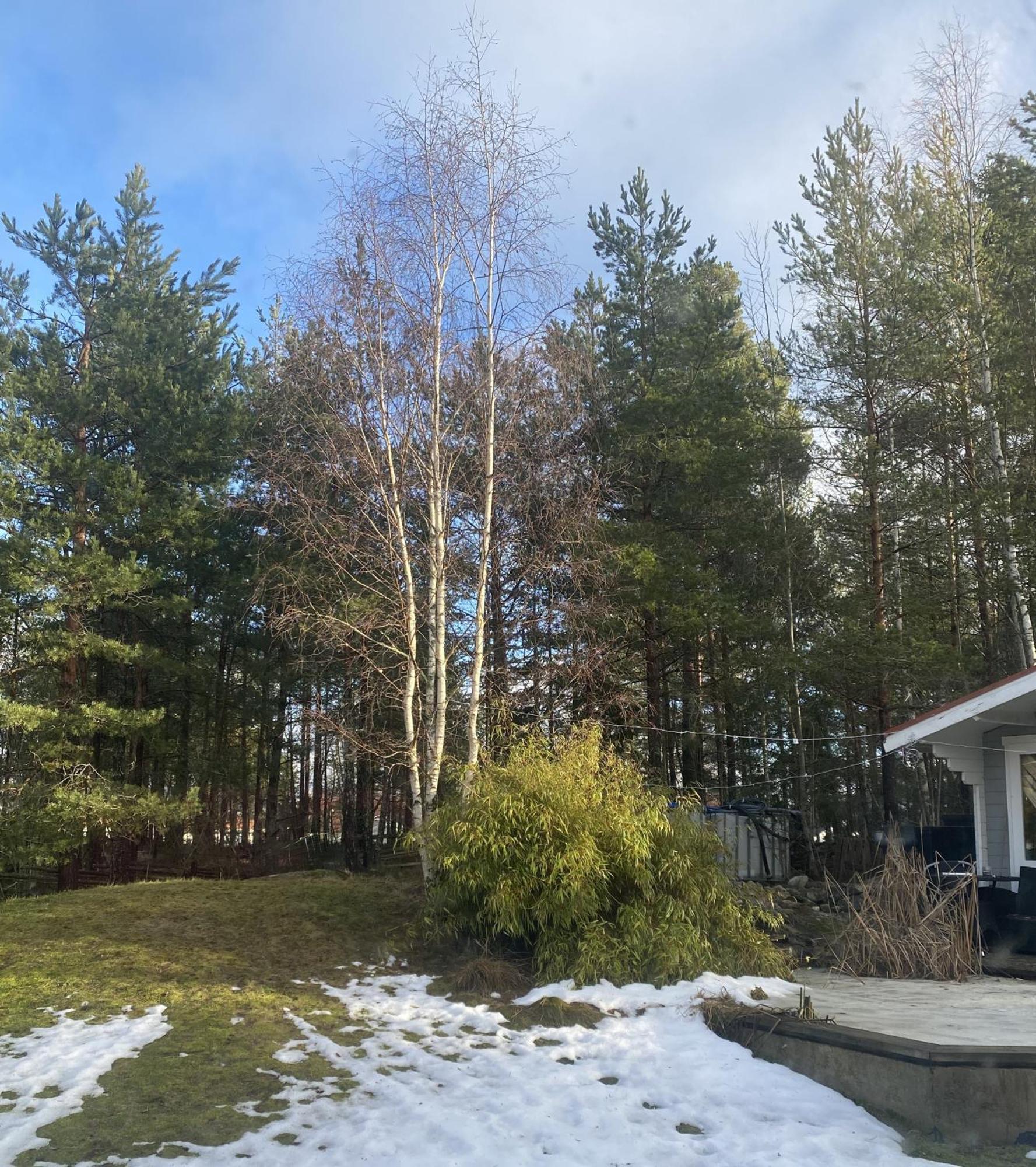 Hotel In Svalsaeter, Kallfors, Jaerna, Stockholm, 5 Min To Golf & 15 Min To Ytterjaerna Concerts Extérieur photo